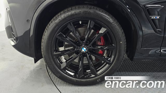 BMW X4 (G02) xDrive20i M Sport Pro Special Edition 2025 — фото 5