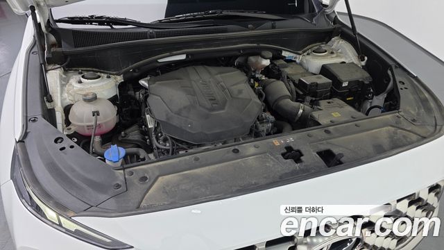 Hyundai Santa Fe Diesel 2.2 2WD Exclusive 2023 — фото 6