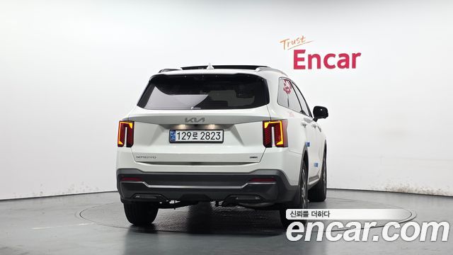 Kia Sorento (IV) HEV 1.6 2WD Gravity 2024 — фото 4