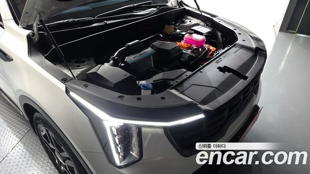 Kia Sorento (IV) HEV 1.6 2WD Gravity 2024 — фото 6