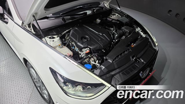 Hyundai Sonata (DN8) 2.0 Premium Plus 2022 — фото 6