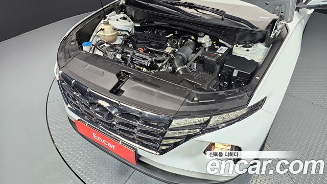 Hyundai Tucson (NX4) Gasoline 1.6 Turbo 2WD Modern 2023 — фото 6