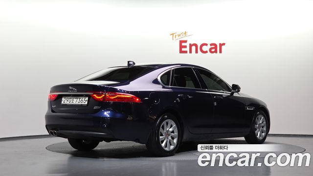 Jaguar XF (X260) 20d Prestige AWD 2017 — фото 2