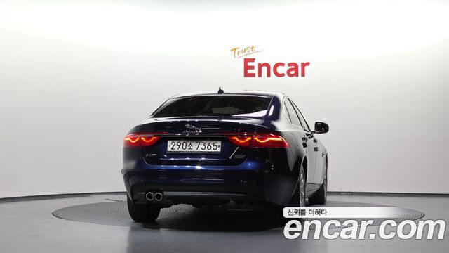 Jaguar XF (X260) 20d Prestige AWD 2017 — фото 4