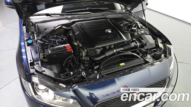 Jaguar XF (X260) 20d Prestige AWD 2017 — фото 6