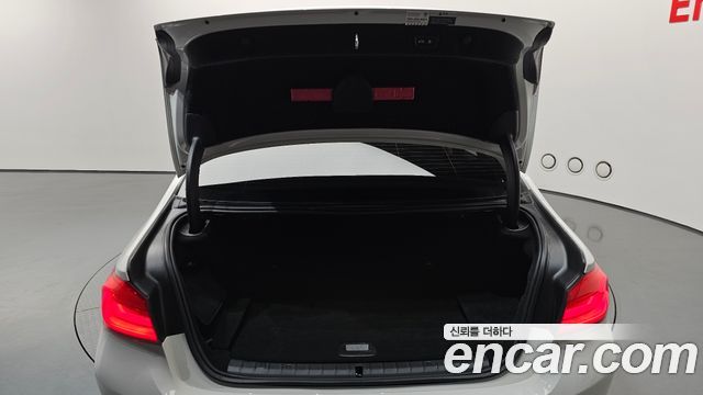 BMW 5 Series (G30) 530e Luxury 2020 — фото 20