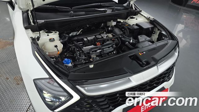Kia Sportage (V) Gasoline 1.6 Turbo 2WD Signature 2022 — фото 6