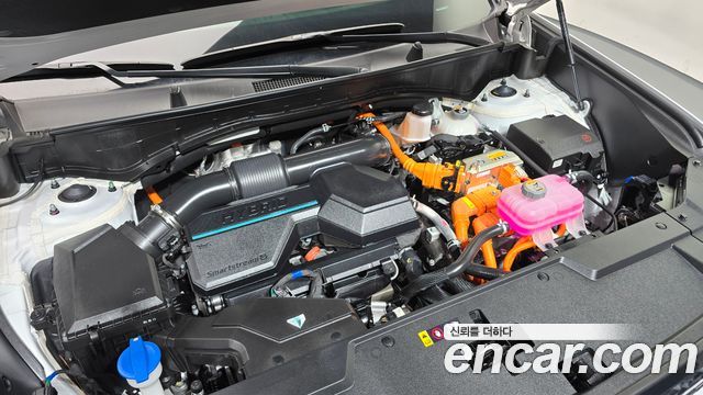 Hyundai Santa Fe (MX5) HEV 1.6 2WD Calligraphy 2024 — фото 6