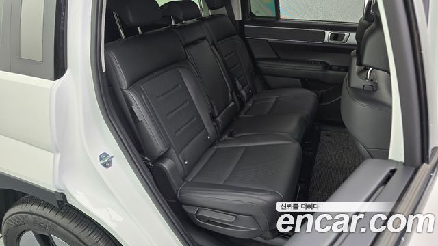Hyundai Santa Fe (MX5) HEV 1.6 2WD Calligraphy 2024 — фото 11