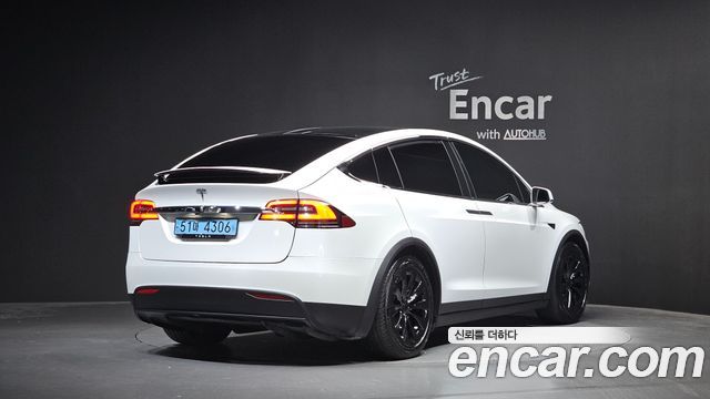 Tesla Model X 100D 2019 — фото 2