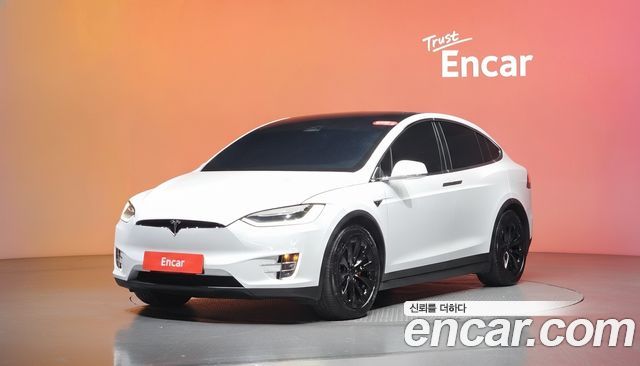 Tesla Model X 100D 2019 — фото 1