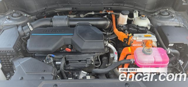Hyundai Santa Fe (MX5) HEV 1.6 4WD Calligraphy 2024 — фото 4