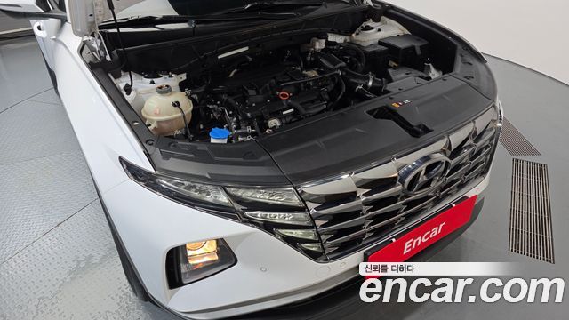 Hyundai Tucson (NX4) Gasoline 1.6 Turbo 2WD Premium 2023 — фото 6