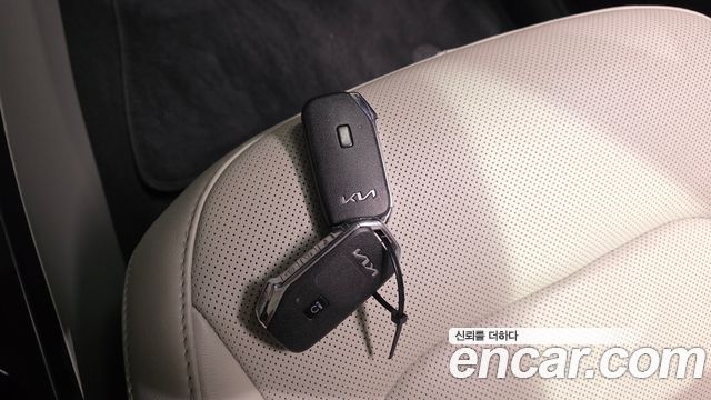 Kia Niro EV Earth 2024 — фото 13