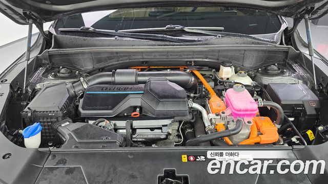 Kia Sorento (IV) HEV 1.6 2WD Noblesse 2024 — фото 6
