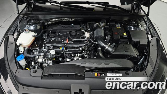 Kia K5 (III) 1.6 Turbo Noblesse 2025 — фото 6