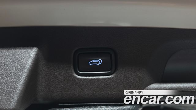 Hyundai Palisade Gasoline 3.8 4WD VIP 2021 — фото 19
