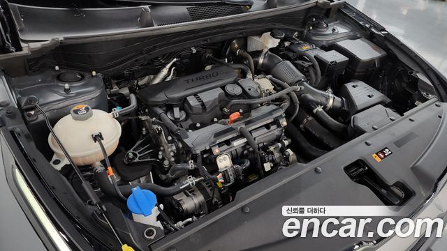 Kia Sportage (V) Gasoline 1.6 Turbo 2WD Signature Gravity 2023 — фото 6