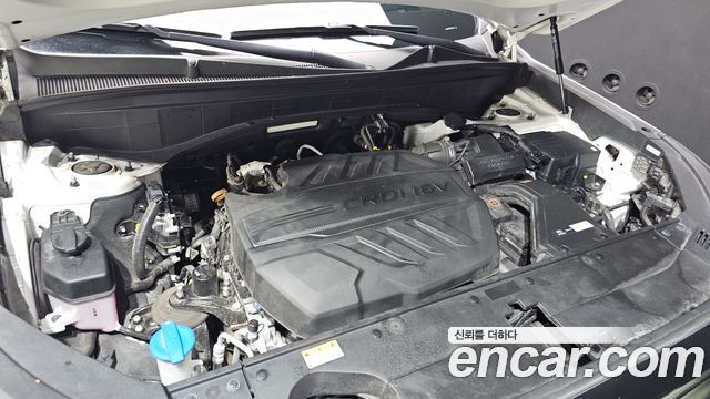 Hyundai Palisade Diesel 2.2 2WD Le Blanc 2024 — фото 6