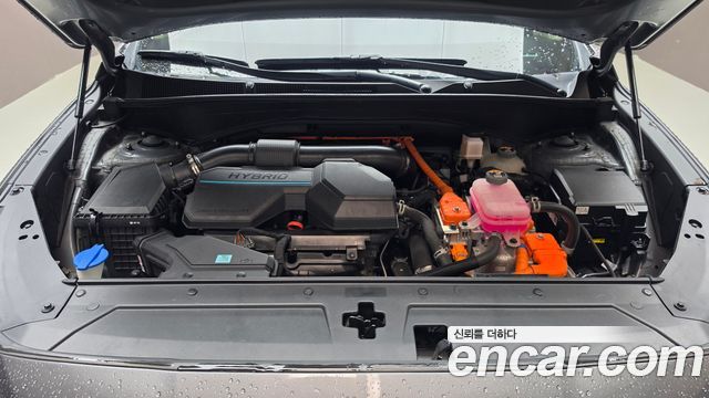 Hyundai Santa Fe HEV 1.6 2WD Prestige 2023 — фото 6