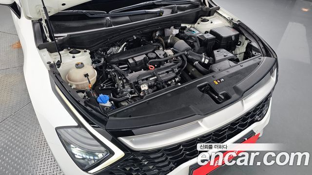 Kia Sportage (V) Gasoline 1.6 Turbo 2WD Nobleless 2022 — фото 6