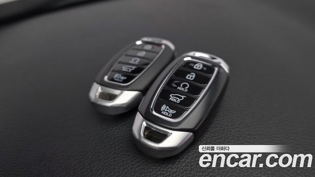 Hyundai Santa Fe (TM) Gasoline 2.0T 2WD Inspiration 2020 — фото 32