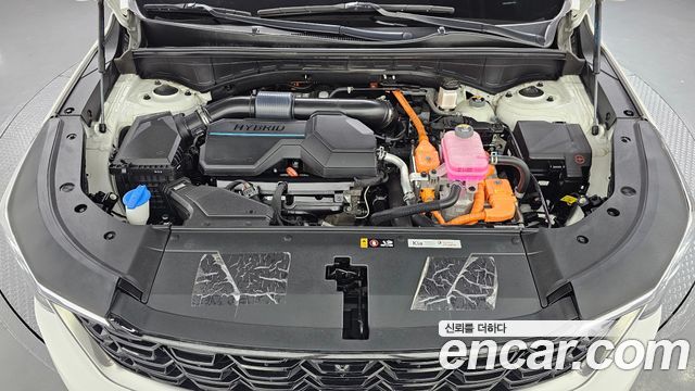 Kia Sorento (IV) HEV 1.6 2WD Noblesse 2024 — фото 6