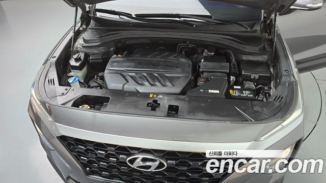 Hyundai Santa Fe (TM) Diesel 2.0 2WD Exclusive 2019 — фото 6