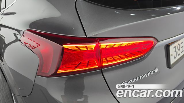 Hyundai Santa Fe (TM) Diesel 2.0 2WD Exclusive 2019 — фото 23