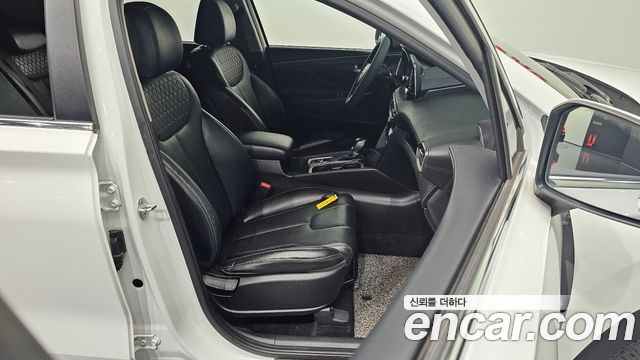 Hyundai Santa Fe (TM) Diesel 2.2 4WD Exclusive 2020 — фото 10