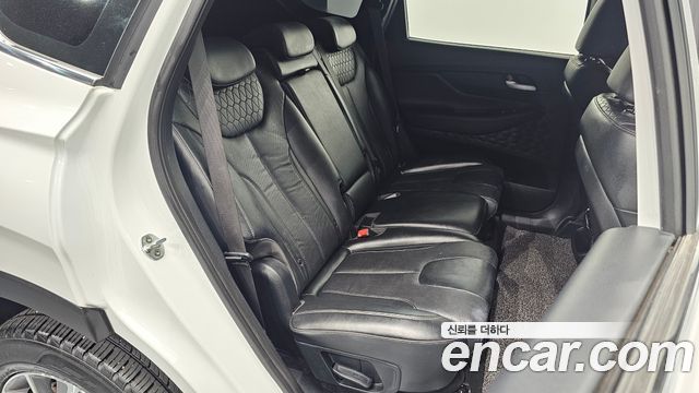 Hyundai Santa Fe (TM) Diesel 2.2 4WD Exclusive 2020 — фото 11