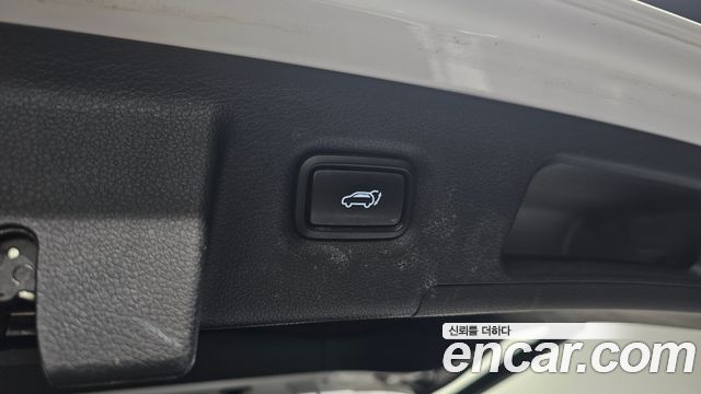 Hyundai Santa Fe (TM) Diesel 2.2 4WD Exclusive 2020 — фото 30
