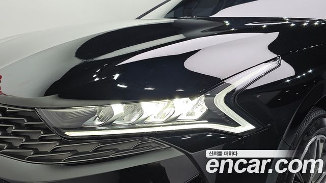 Kia K5 (III) 2.0 Prestige 2023 — фото 22