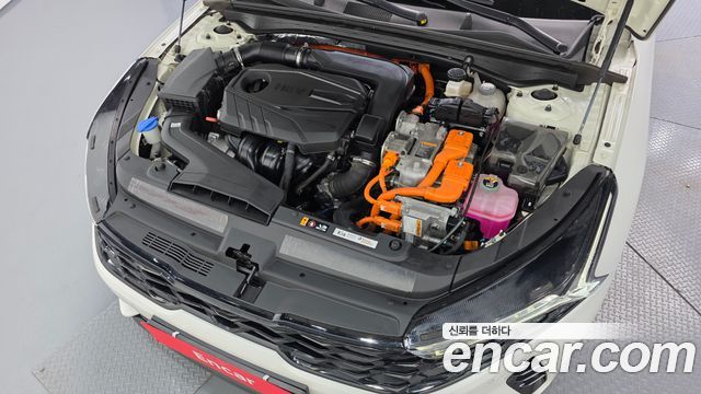 Kia K5 Hybrid (III) Noblesse 2023 — фото 6