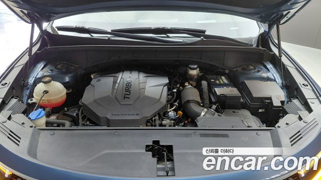 Kia Sorento (IV) Diesel 2.2 2WD Noblesse 2022 — фото 6