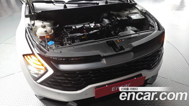 Kia Sportage (V) Gasoline 1.6 Turbo 2WD Signature 2024 — фото 6