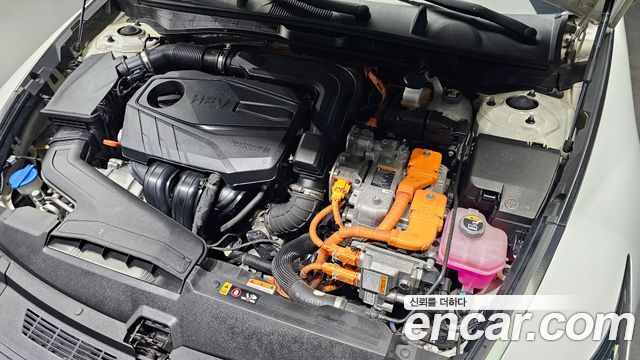 Hyundai Sonata Hybrid (DN8) Premium Family 2021 — фото 6