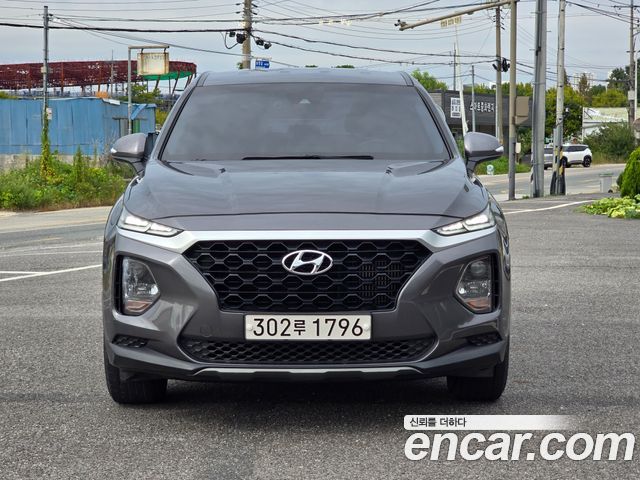 Hyundai Santa Fe (TM) Diesel 2.0 2WD Premium 2019 — фото 3