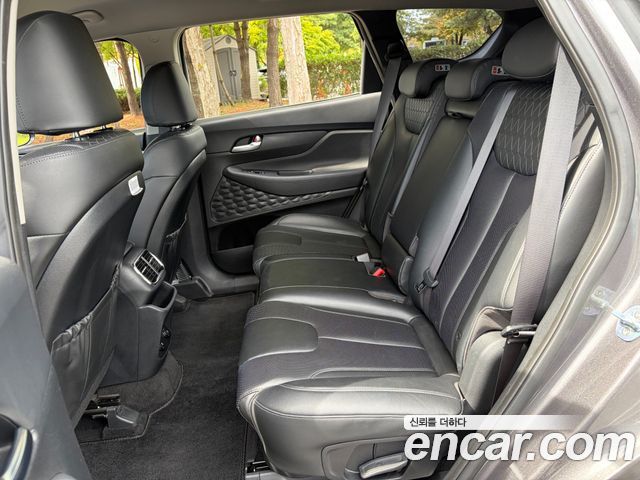 Hyundai Santa Fe (TM) Diesel 2.0 2WD Premium 2019 — фото 9