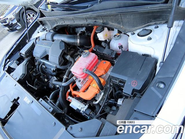 Kia Sorento (IV) HEV 1.6 2WD Noblesse 2023 — фото 23