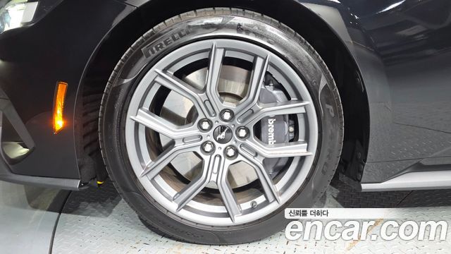 Ford Mustang (VII) 2.3 Ecoboost Premium Convertible 2024 — фото 5