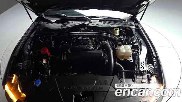 Ford Mustang (VII) 2.3 Ecoboost Premium Convertible 2024 — фото 6