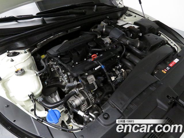 Kia K5 (III) 1.6 Turbo Noblesse 2020 — фото 23