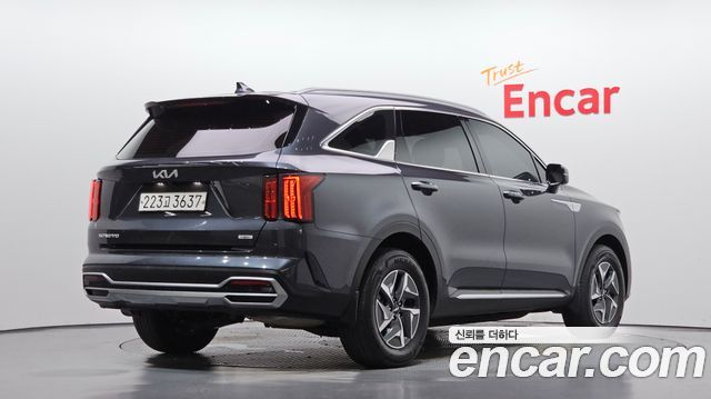 Kia Sorento (IV) HEV 1.6 4WD Prestige 2023 — фото 2