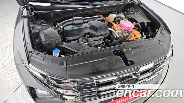 Hyundai Tucson Hybrid (NX4) HEV 1.6 2WD Premium 2024 — фото 6