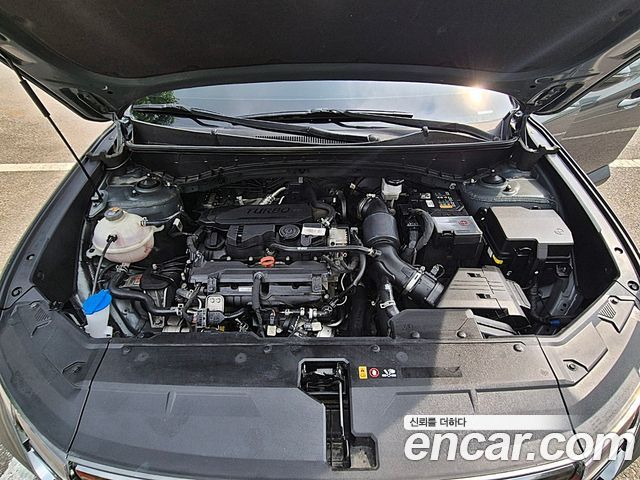 Hyundai Tucson (NX4) Gasoline 1.6 Turbo 4WD Premium 2023 — фото 6