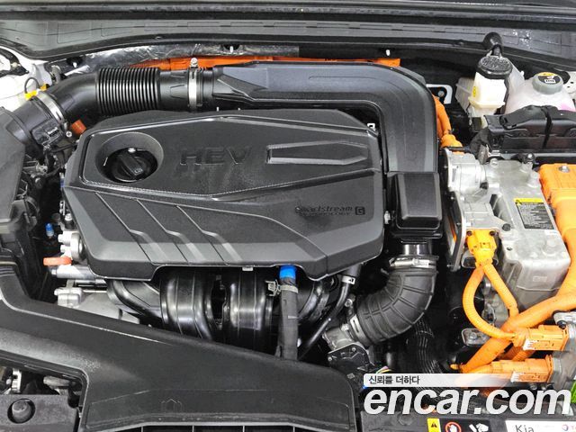 Kia K5 Hybrid (III) Prestige 2025 — фото 23