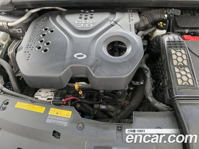 Renault Korea SM6 2.0 GDe LE 2016 — фото 15