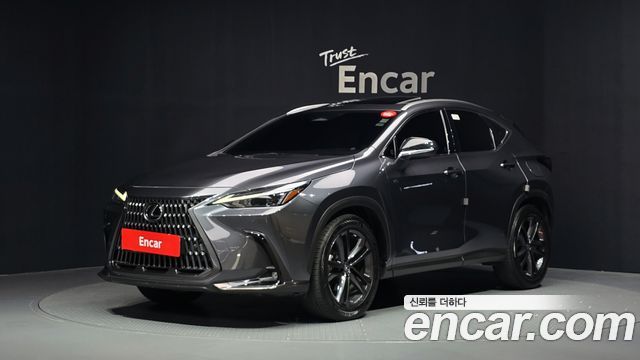 Lexus NX350h (II) Premium