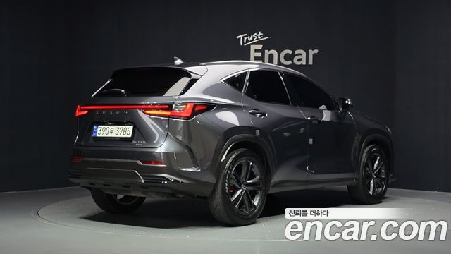 Lexus NX350h (II) Premium 2023 — фото 2